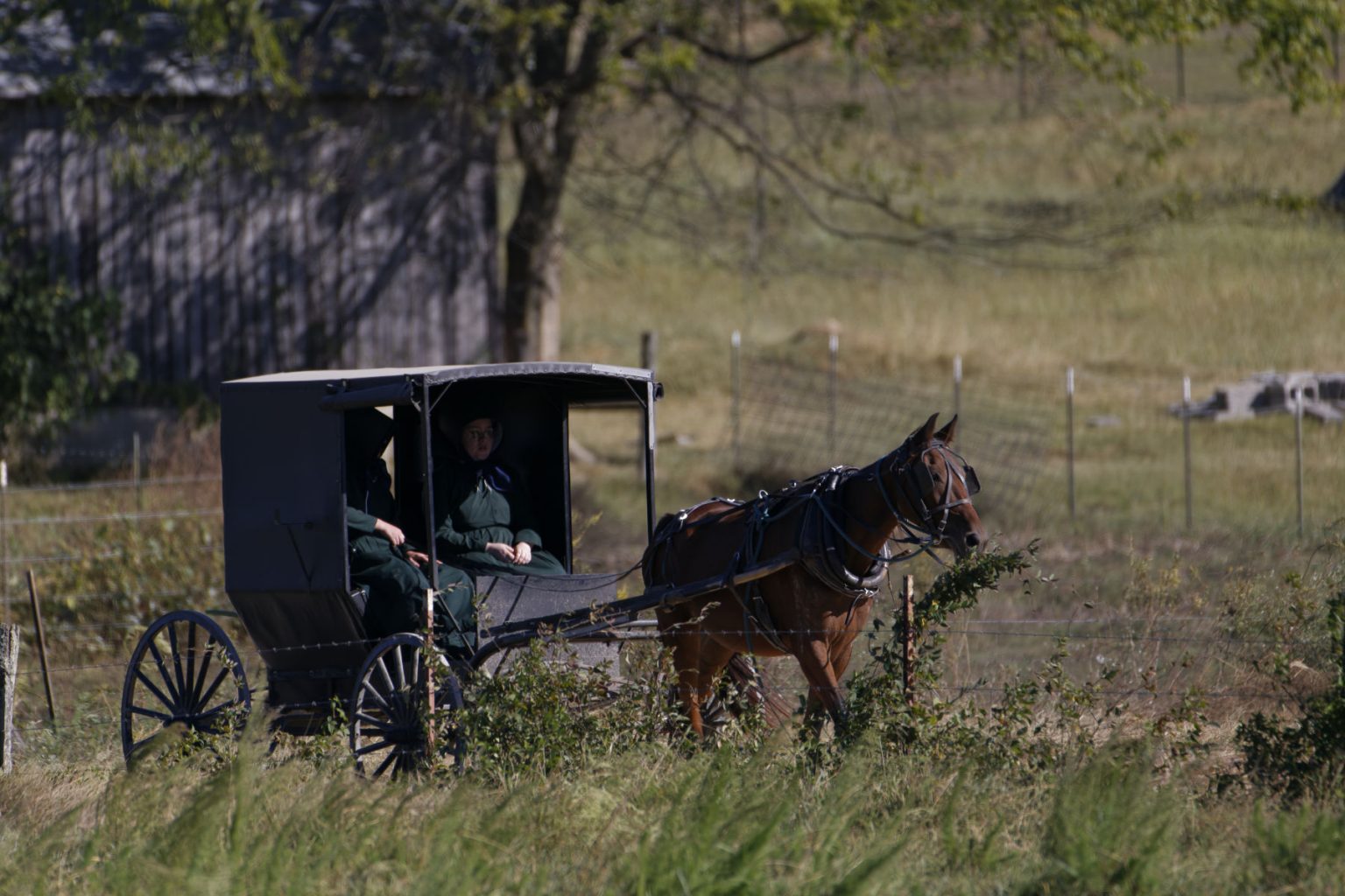 10 Great Itineraries Amish of Ethridge