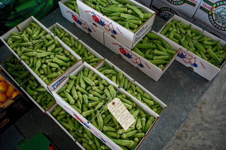 Plowboy Produce Auction Amish of Ethridge