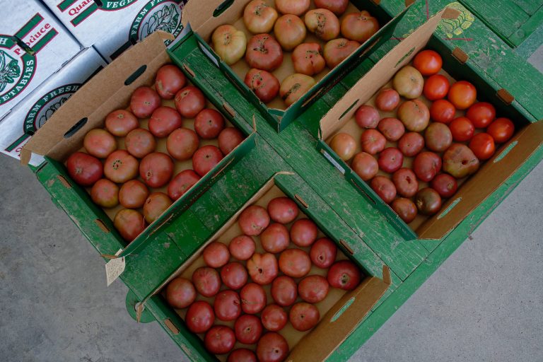 Plowboy Produce Auction Amish of Ethridge