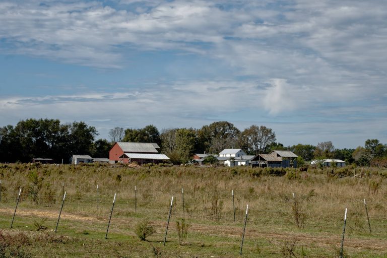 Stantonville Shiloh Amish Amish of Ethridge