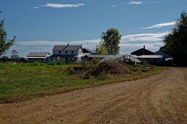 Stantonville Shiloh Amish Amish of Ethridge