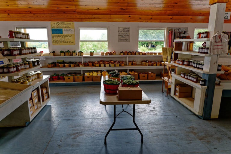 Amish in Tennessee Amish of Ethridge