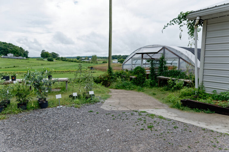Amish in Tennessee Amish of Ethridge