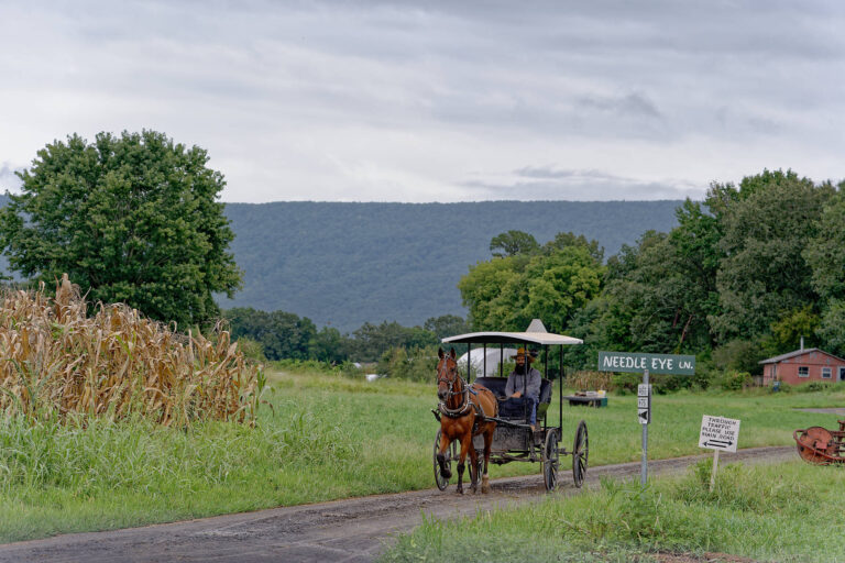 Amish in Tennessee Amish of Ethridge